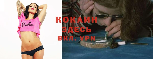 стафф Алексин