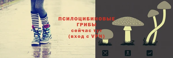 стафф Алексин