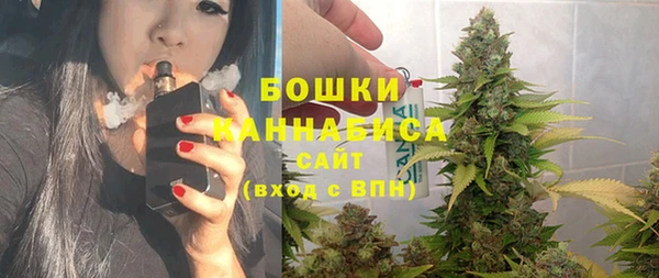 дурь Алзамай