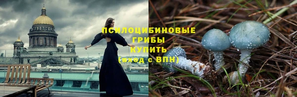 PSILOCYBIN Алексеевка