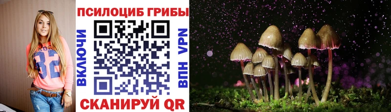 Галлюциногенные грибы Psilocybine cubensis ссылка на мегу рабочий сайт Дмитров